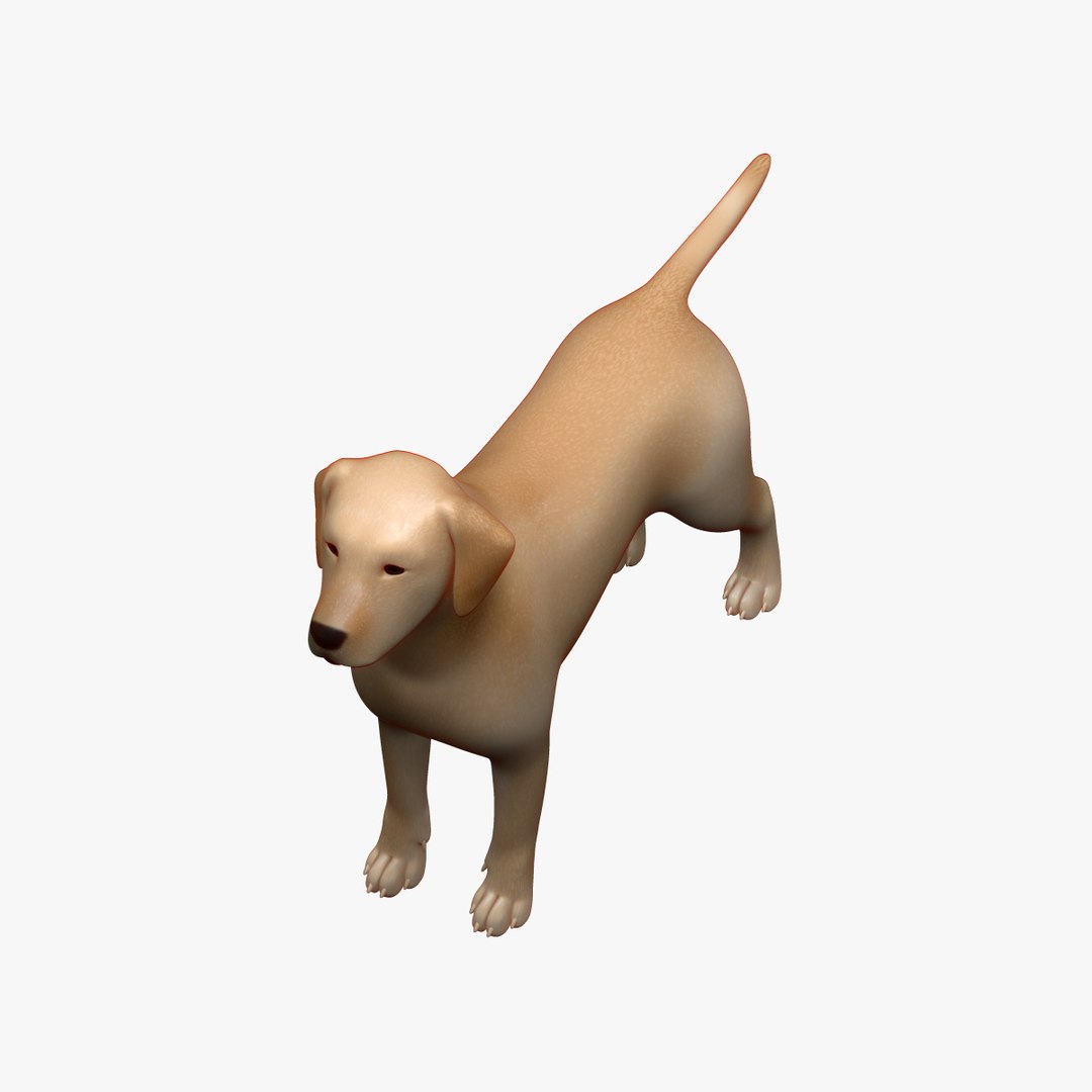 Skeleton Musculature 3D - TurboSquid 1332911