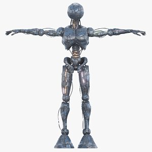 Drob 3D model