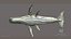 Balena BioMeccanica