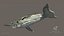 Balena BioMeccanica