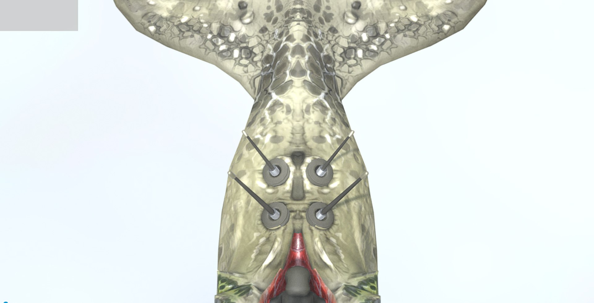 biomechanical whale 3ds https://p.turbosquid.com/ts-thumb/g3/yawCtX/HKOLIa8y/closeup4/jpg/1485556678/1920x1080/fit_q87/5348858f0c082cfe70f9c200ae617baae446f0ab/closeup4.jpg