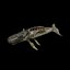 Balena BioMeccanica