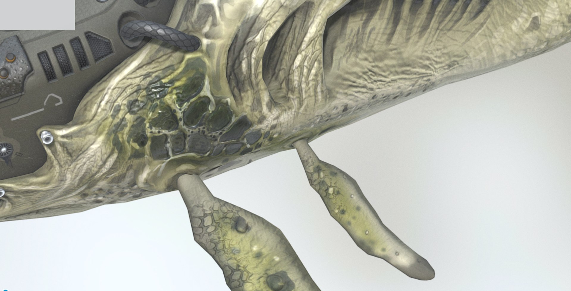 biomechanical whale 3ds https://p.turbosquid.com/ts-thumb/g3/yawCtX/qTuebA4U/closeup3/jpg/1485556678/1920x1080/fit_q87/1aaee2df6df4a2ac6042a71d8f159159361f83d3/closeup3.jpg