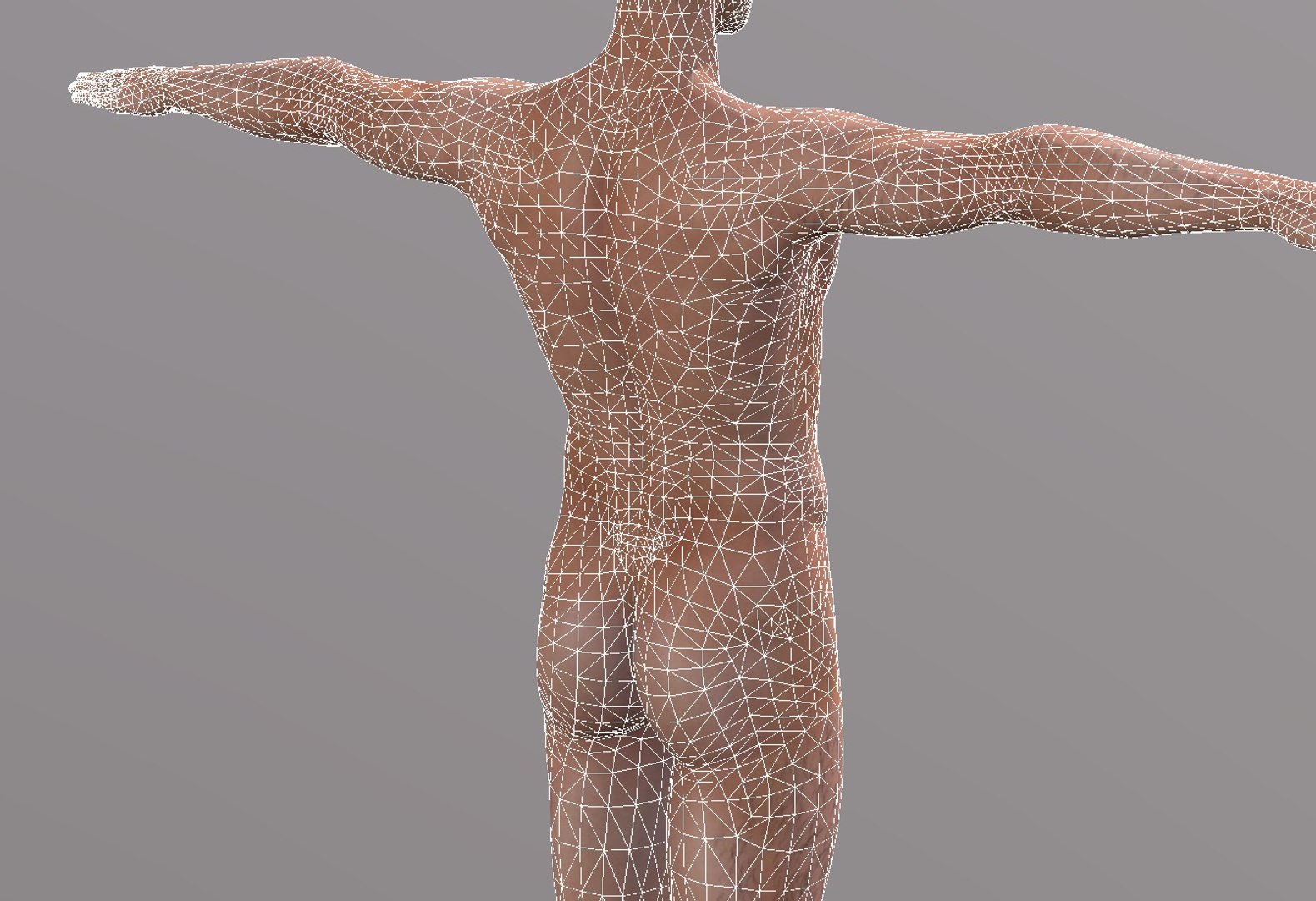 Man Character Rigged Model - TurboSquid 1555631
