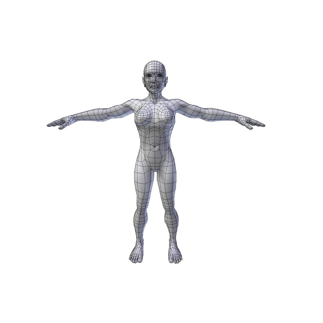 Woman 1 75m basemesh 3D model https://p.turbosquid.com/ts-thumb/g4/DEmXha/Mc/woman1.75wire0002/png/1730242057/1920x1080/fit_q87/cece201e20811243b1994575049c2edf81b26344/woman1.75wire0002.jpg