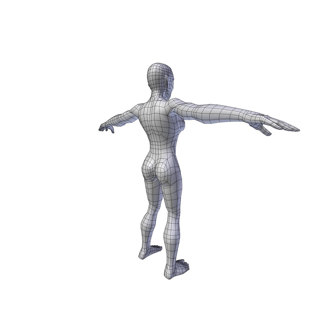 Woman 1 75m basemesh 3D model https://p.turbosquid.com/ts-thumb/g4/DEmXha/aw/woman1.75wire0005/png/1730242059/1920x1080/fit_q87/839bc83331d979f3d0ecc11592654faa13c0d5e2/woman1.75wire0005.jpg