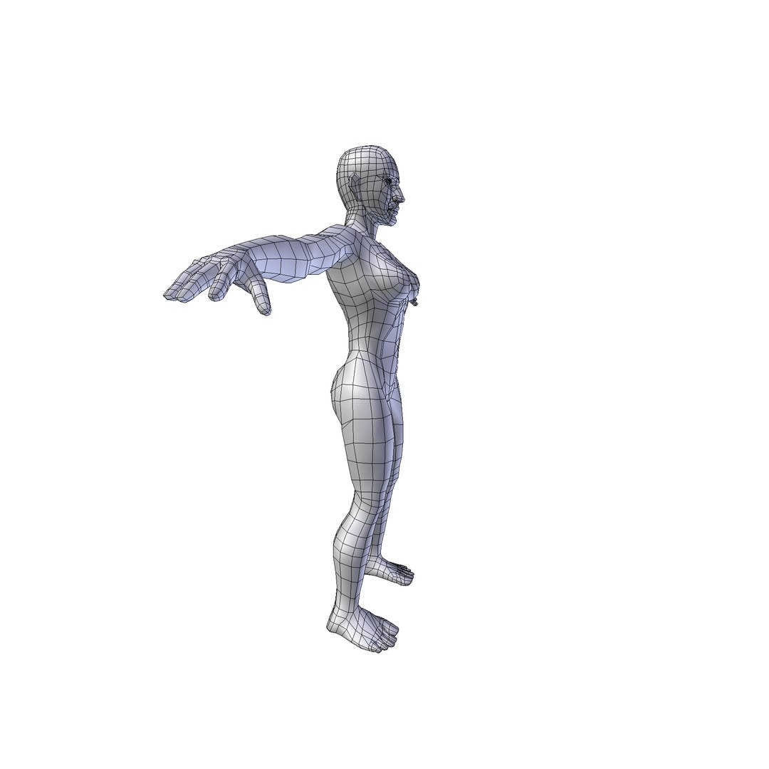 Woman 1 75m basemesh 3D model https://p.turbosquid.com/ts-thumb/g4/DEmXha/ny/woman1.75wire0004/png/1730242058/1920x1080/fit_q87/c2ca36981155d04d9817f1ba94eac7e78695a952/woman1.75wire0004.jpg