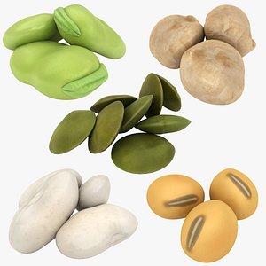 3D beans kidney lentils model