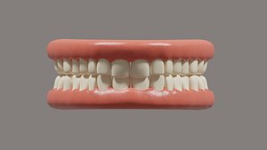 3D mouth teeth model