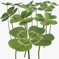 Low Poly Clover Leaves Green