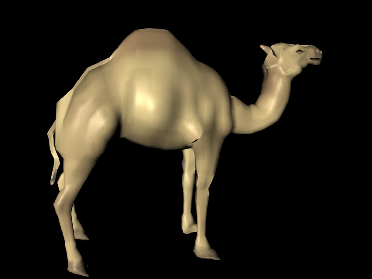 free camel 3d model https://p.turbosquid.com/ts-thumb/g4/Vmbh3r/LqUN3LaP/camelpic7/jpg/1221468720/1920x1080/fit_q87/3a200208ce60cae04470b7170db1fb5814adcd0b/camelpic7.jpg