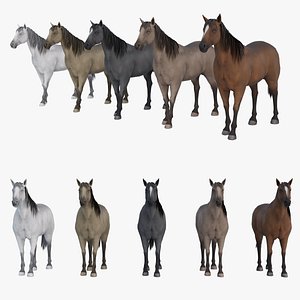 Horse Models Set Multi Color Variants 3D model