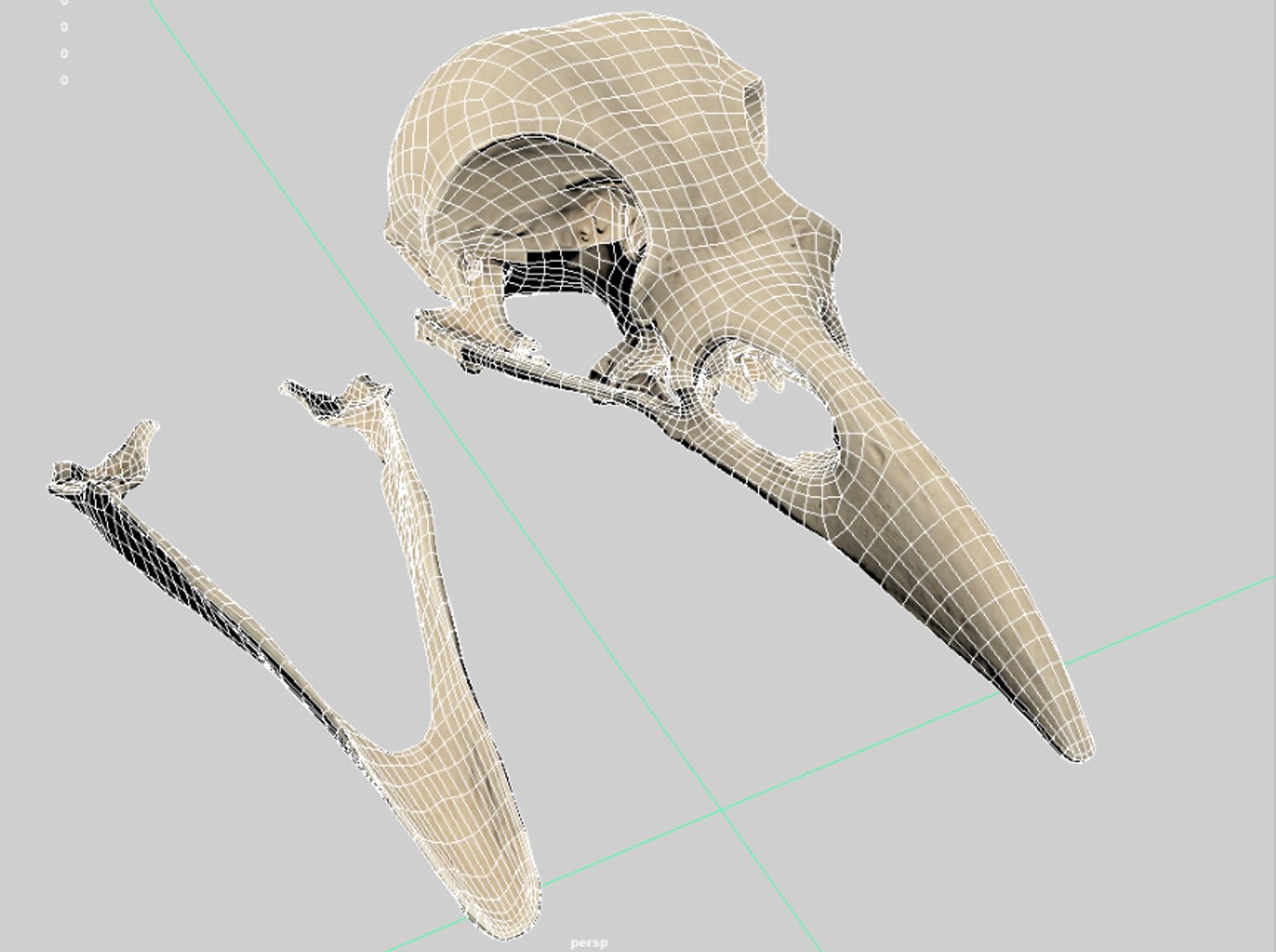 3D Raven Skull Model - TurboSquid 1455173