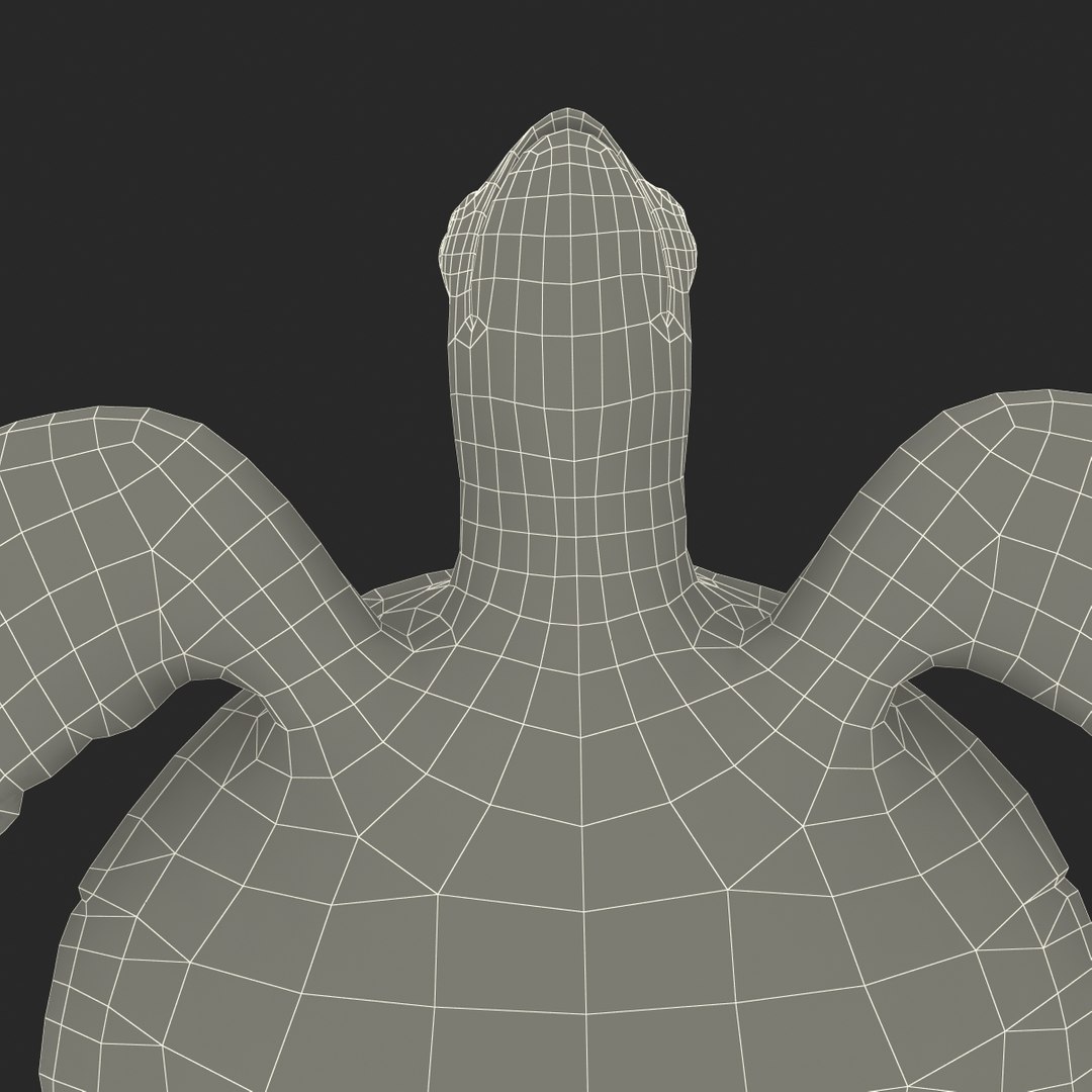 sea turtle rigged 3d c4d https://p.turbosquid.com/ts-thumb/g4/hXGVo7/3rCfdCFJ/seaturtleriggedcinema4d3dmodel44/jpg/1478189390/1920x1080/fit_q87/75e24116e22b40abf61a09fd17aab177556efde3/seaturtleriggedcinema4d3dmodel44.jpg