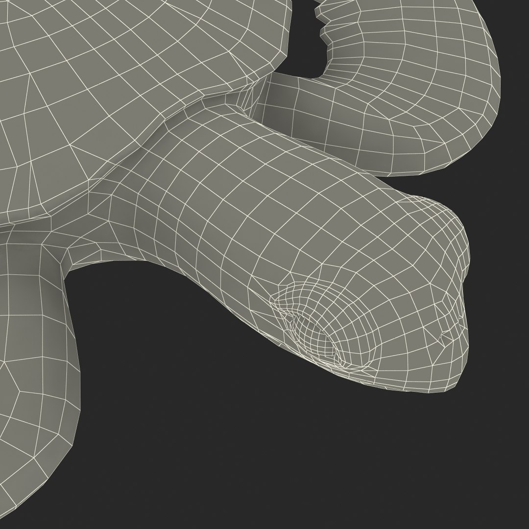sea turtle rigged 3d c4d https://p.turbosquid.com/ts-thumb/g4/hXGVo7/MZxvVX3K/seaturtleriggedcinema4d3dmodel43/jpg/1478189390/1920x1080/fit_q87/cc9867a7d733970d67fe95532a1b3bed7b3c4e57/seaturtleriggedcinema4d3dmodel43.jpg