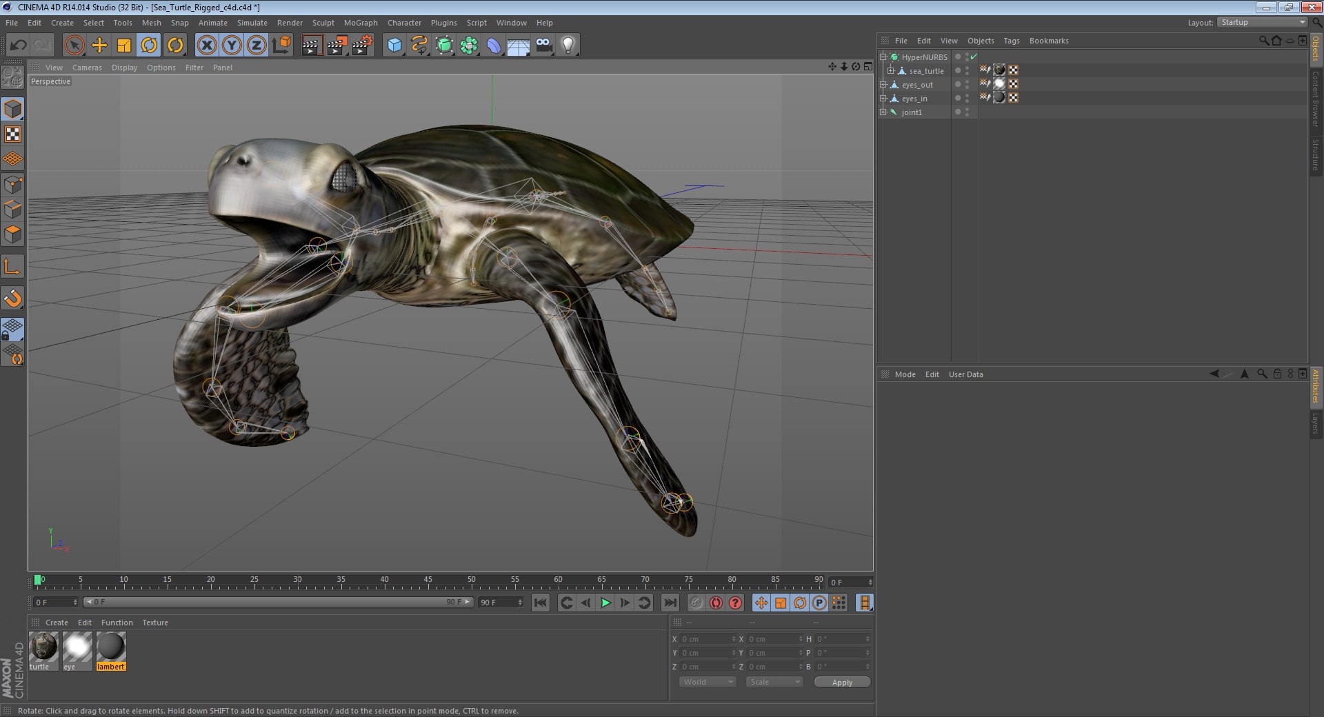 sea turtle rigged 3d c4d https://p.turbosquid.com/ts-thumb/g4/hXGVo7/NHShU6wn/seaturtleriggedcinema4d3dmodel32/jpg/1478189390/1920x1080/fit_q87/bd99f531a4149c6561375d3700d240e259cc8c8e/seaturtleriggedcinema4d3dmodel32.jpg