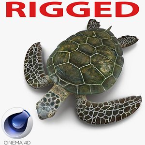 sea turtle rigged 3d c4d
