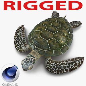 Sea Turtle Rigged for Cinema 4D
