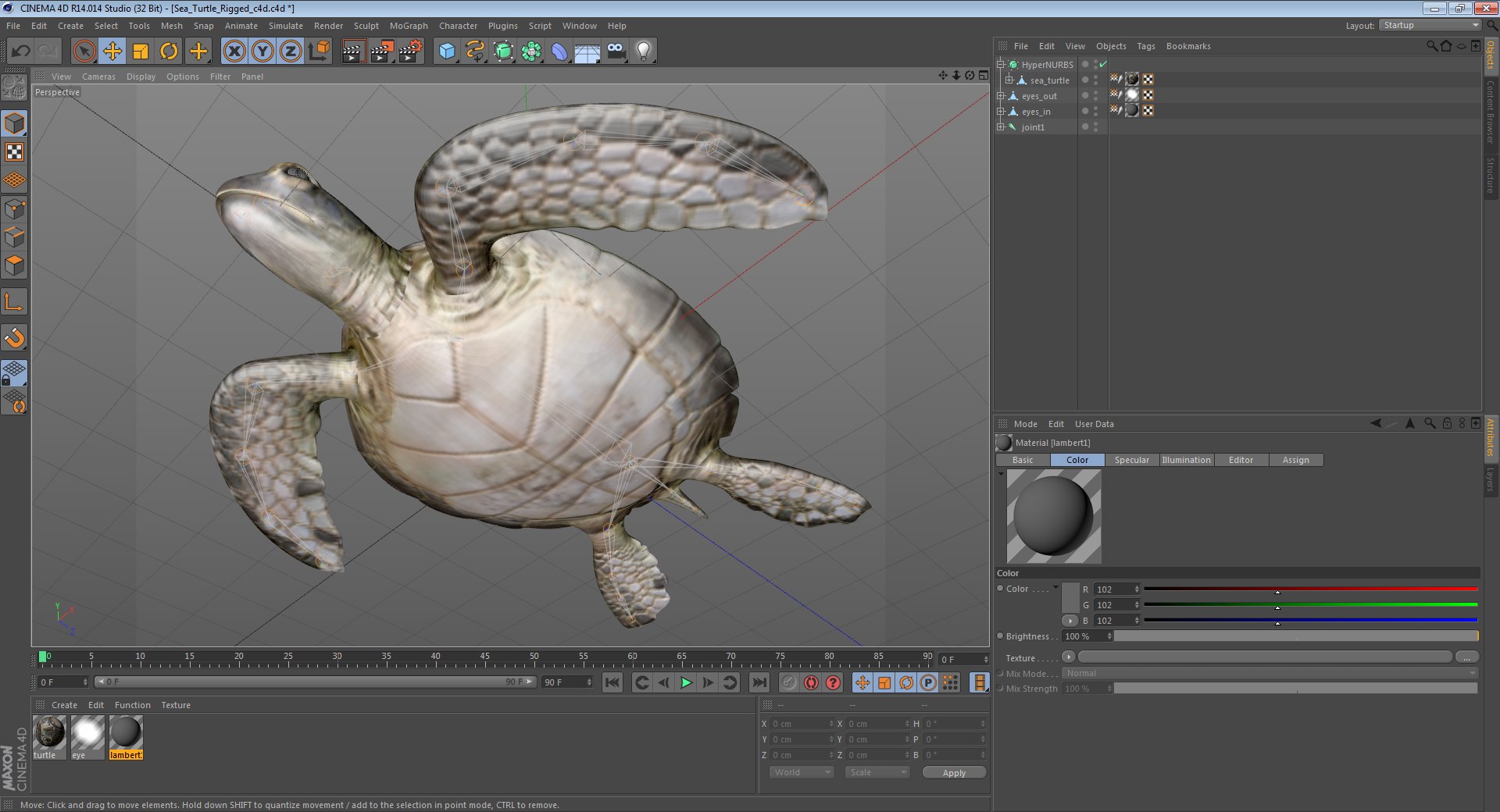 sea turtle rigged 3d c4d https://p.turbosquid.com/ts-thumb/g4/hXGVo7/hu5AYkT9/seaturtleriggedcinema4d3dmodel31/jpg/1478189390/1920x1080/fit_q87/6301910da1f5c846f07317389b1471dc6145f25f/seaturtleriggedcinema4d3dmodel31.jpg