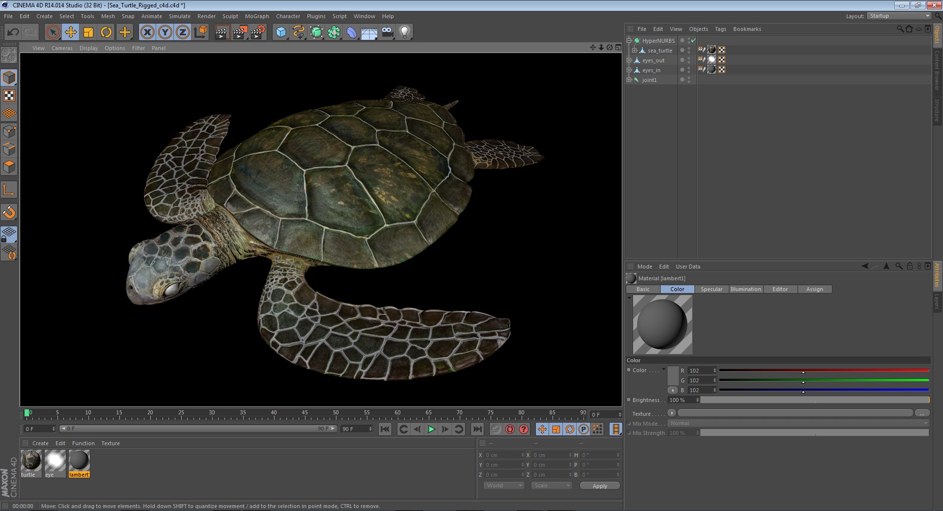 sea turtle rigged 3d c4d https://p.turbosquid.com/ts-thumb/g4/hXGVo7/iYXuueQ6/seaturtleriggedcinema4d3dmodel30/jpg/1478189390/1920x1080/fit_q87/b31f3c29c55b8c8b46b0ce97a5f334a8fd7ca9db/seaturtleriggedcinema4d3dmodel30.jpg
