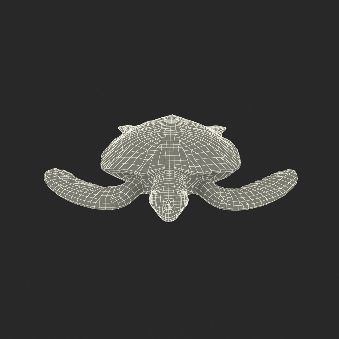 sea turtle rigged 3d c4d https://p.turbosquid.com/ts-thumb/g4/hXGVo7/ixVtDKcK/sea_turtle_rigged_361/jpg/1478189585/1920x1080/turn_fit_q99/ec5fa43faac0e4f7eb2029eb767b76f82df9aaf6/sea_turtle_rigged_361-1.jpg