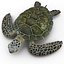 Sea Turtle Rigged for Cinema 4D