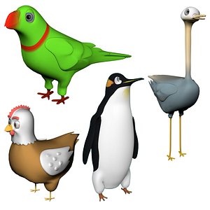 3D Cartoon bird collection model