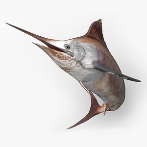 Marlin Rigged L1831