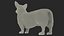 Pembroke Welsh Corgi Dog Fur for Maya Rigged