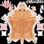 Pembroke Welsh Corgi Dog Fur for Maya Rigged