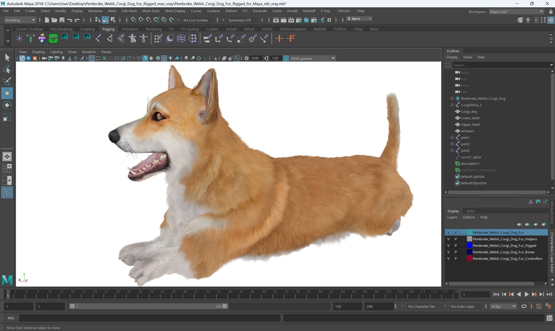Pembroke Welsh Corgi Dog Fur for Maya Rigged 3D model https://p.turbosquid.com/ts-thumb/g4/rEx3A8/p0/pembroke_welsh_corgi_dog_fur_for_maya_rigged_009/jpg/1750106082/1920x1080/fit_q87/e3b3c9fe227a300e274bb620273d2e5910aee8cb/pembroke_welsh_corgi_dog_fur_for_maya_rigged_009.jpg
