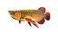50 Fish Sea Creature Collection v3