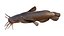 50 Fish Sea Creature Collection v3