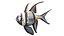 50 Fish Sea Creature Collection v3
