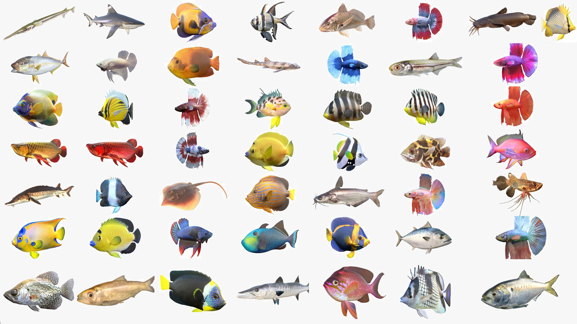 3D 50 Fish Sea Creature Collection v3 https://p.turbosquid.com/ts-thumb/g4/xZyDKS/Z0/50v3cgt/jpg/1776518605/1920x1080/fit_q87/0d333ff12b2097d054131e2efc43307caeea2902/50v3cgt.jpg