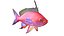50 Fish Sea Creature Collection v3