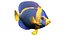 50 Fish Sea Creature Collection v3