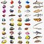 50 Fish Sea Creature Collection v3