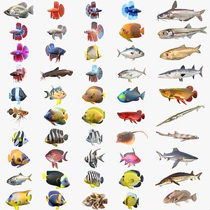 50 Fish Sea Creature Collection v3