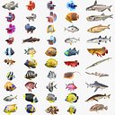 50 Fish Sea Creature Collection v3