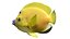 50 Fish Sea Creature Collection v3