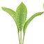 Wooden Vase with plants vol 134 -3dmodel