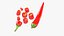 Chopped Red Chili 3D model