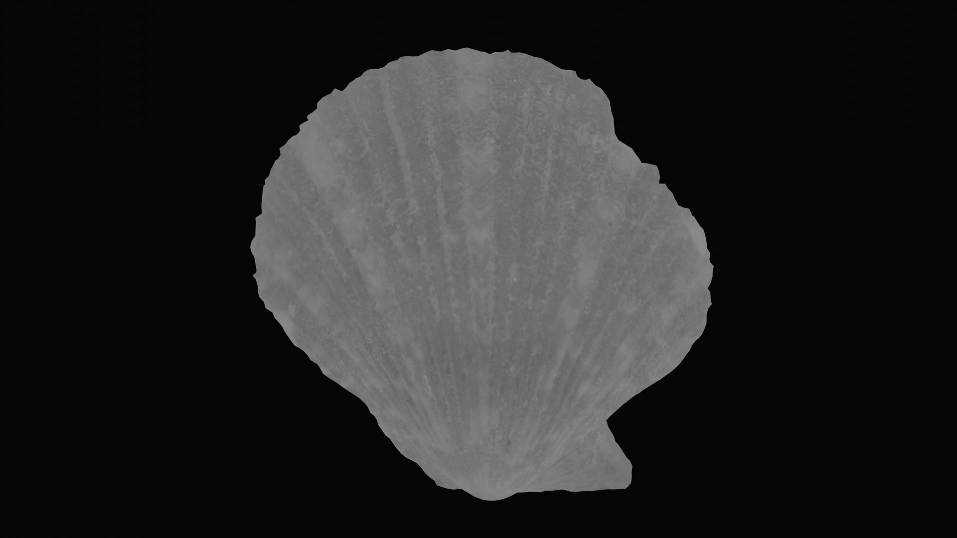 3D sea scallop shell model https://p.turbosquid.com/ts-thumb/g5/2U6WJZ/8nnLRfNb/1599058910149_specular_blackbg/png/1601325694/1920x1080/fit_q87/bfca1805d242ae9513d18f28729b4c707c513c8d/1599058910149_specular_blackbg.jpg