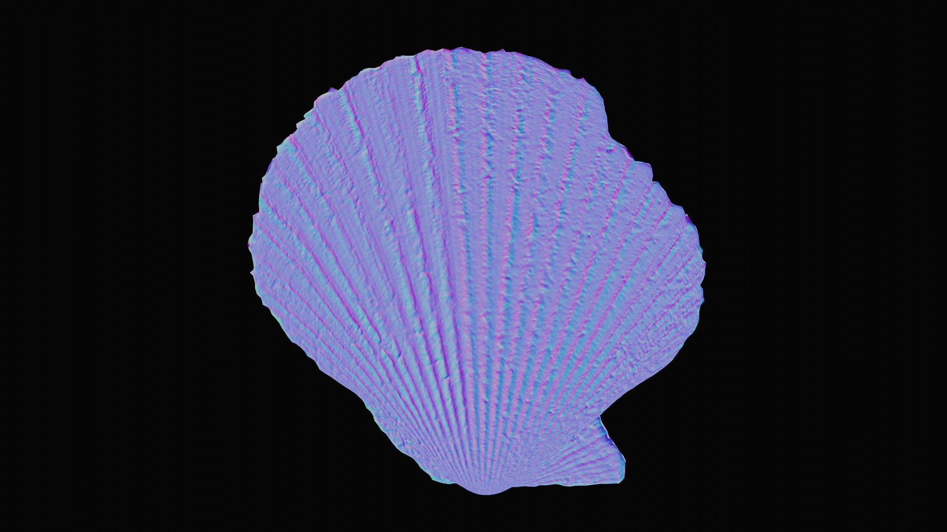 3D sea scallop shell model https://p.turbosquid.com/ts-thumb/g5/2U6WJZ/qW5Gchid/1599058917312_normal_blackbg/png/1601325706/1920x1080/fit_q87/a921292d68428faf3bd8295cb7fa76afffa96459/1599058917312_normal_blackbg.jpg