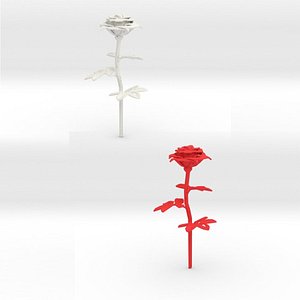 rose flowering 3D model