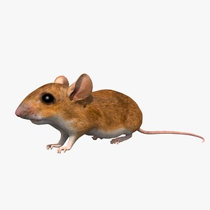 Animated Mouse White 3D model - Download Animals on