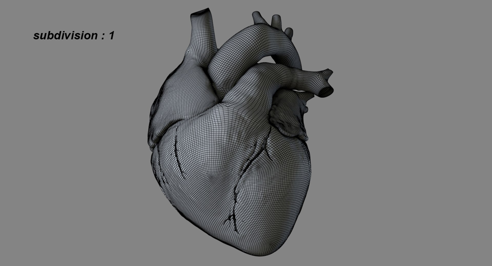 3D human heart anatomy model https://p.turbosquid.com/ts-thumb/g5/MrWCkV/2yIfr8tS/22/jpg/1525401524/1920x1080/fit_q87/32a79aa612f053259a8e66c4be6e410f9d96ab47/22.jpg