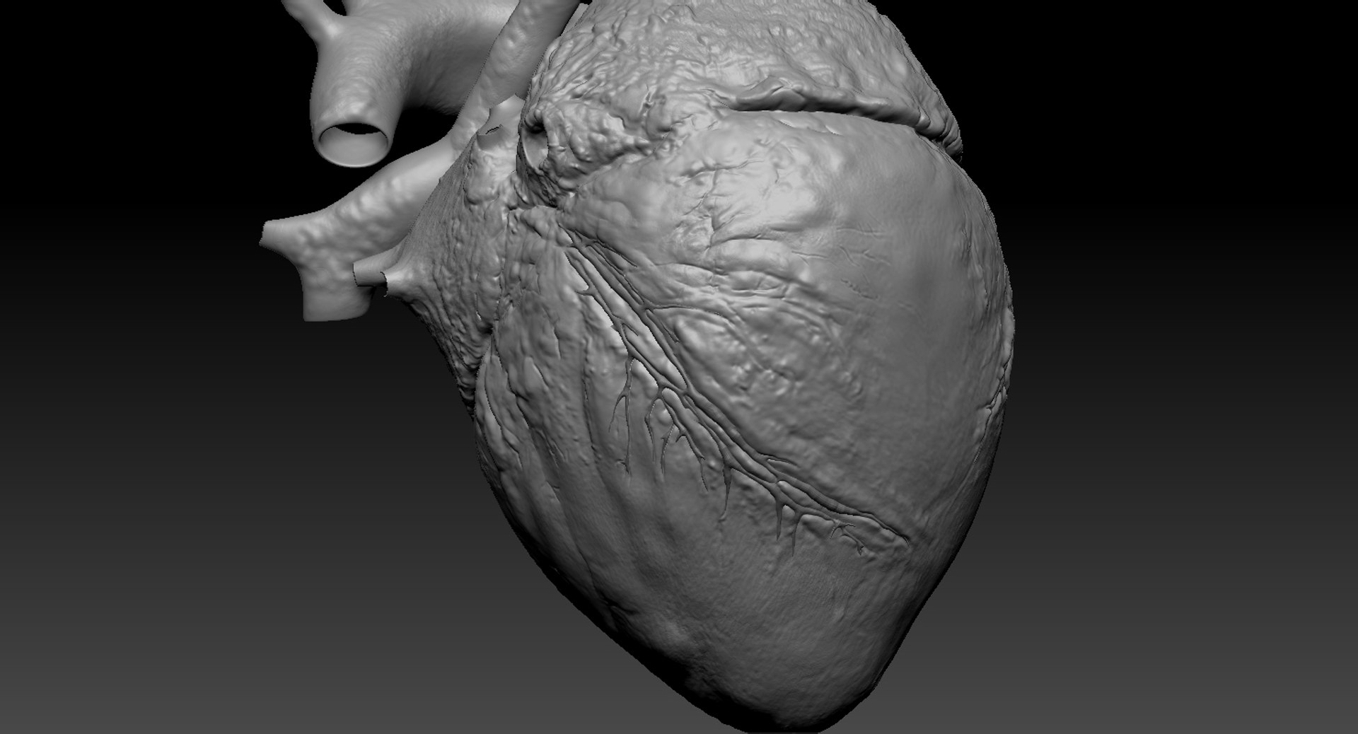 3D human heart anatomy model https://p.turbosquid.com/ts-thumb/g5/MrWCkV/XfoRQl3J/42/jpg/1525401524/1920x1080/fit_q87/de7bcdcbb05abc9706e0d08547fd7e45289710cf/42.jpg