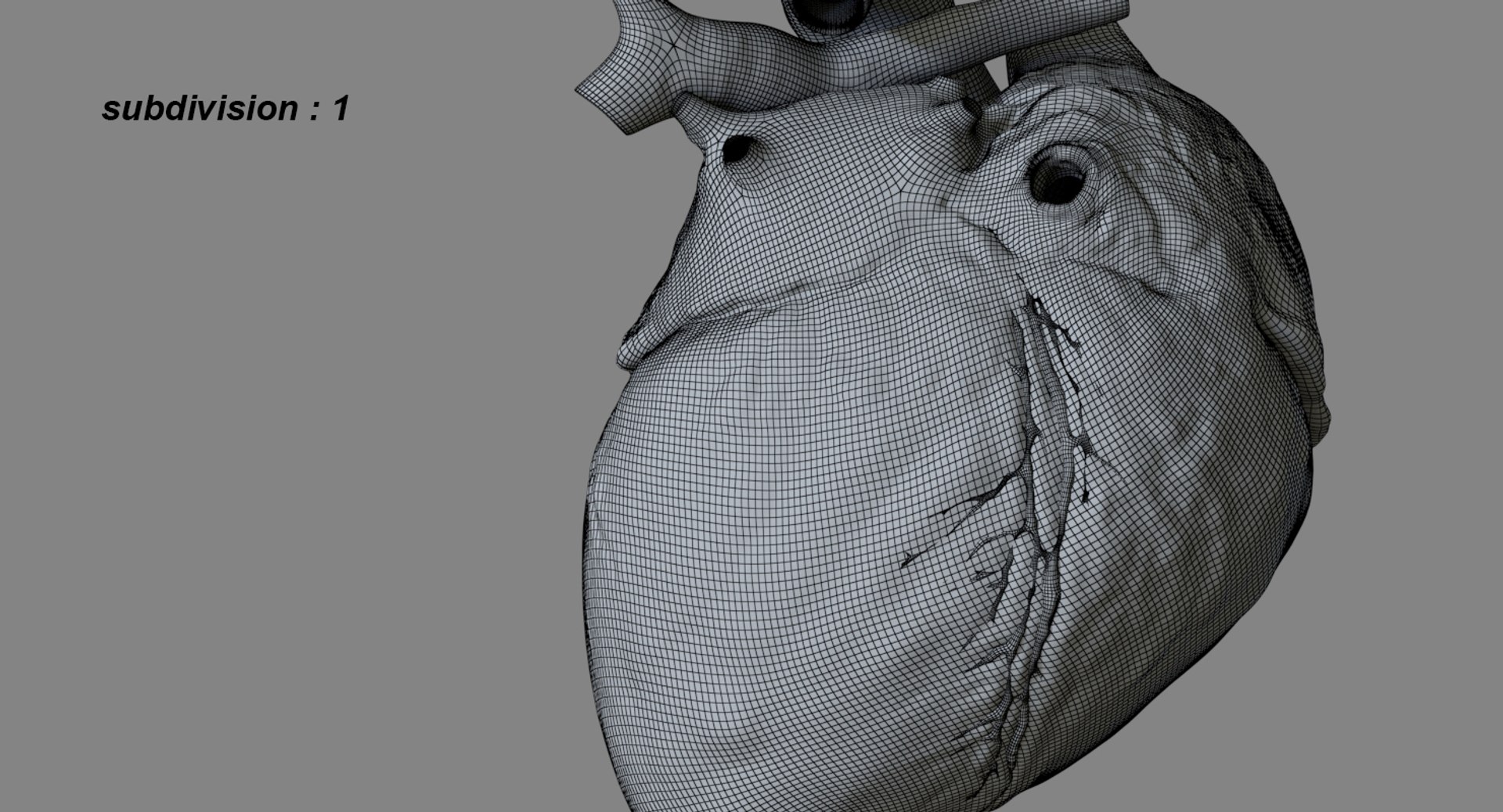 3D human heart anatomy model https://p.turbosquid.com/ts-thumb/g5/MrWCkV/Z4zqh7JW/24/jpg/1525401524/1920x1080/fit_q87/73f7b8bde281167f30dda26ce8f77972fa5eac85/24.jpg